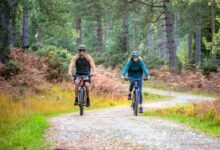 new forest bike hire brockenhurst