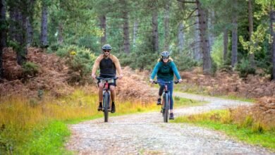 new forest bike hire brockenhurst