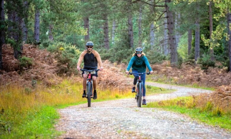 new forest bike hire brockenhurst