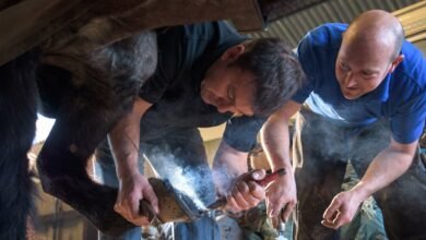 how to become a farrier uk
