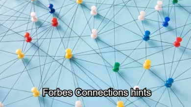 forbes connections