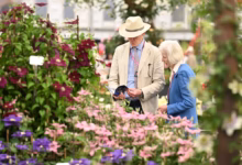 hampton court flower show 2025