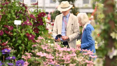 hampton court flower show 2025