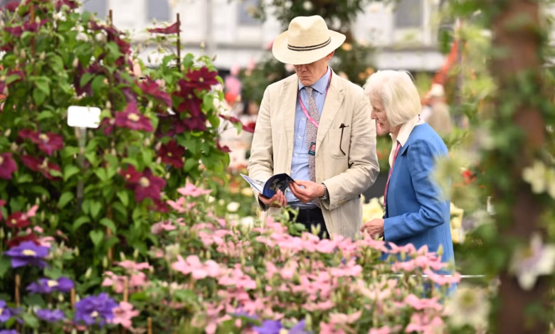 hampton court flower show 2025