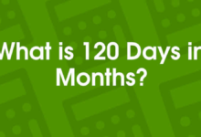 how many months is 120 days